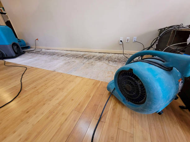 Professional Water Damage Repair technician working in Zebulon, GA